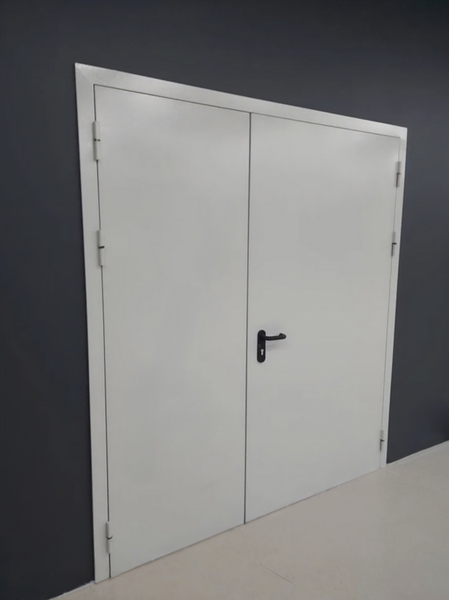 Двустворчатая глухая дверь Двустворчатая глухая дверь