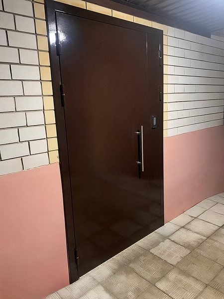 Техническая полуторная дверь Техническая полуторная дверь