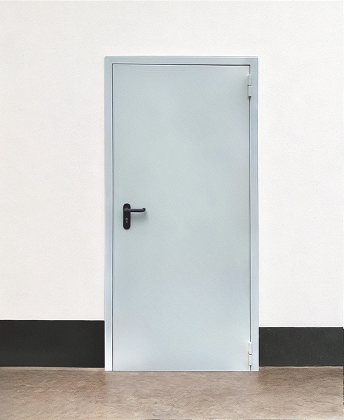 Однопольная глухая дверь Однопольная глухая дверь